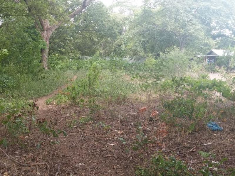 0 bed Land For Sale in Hermosa, Guanacaste - 1