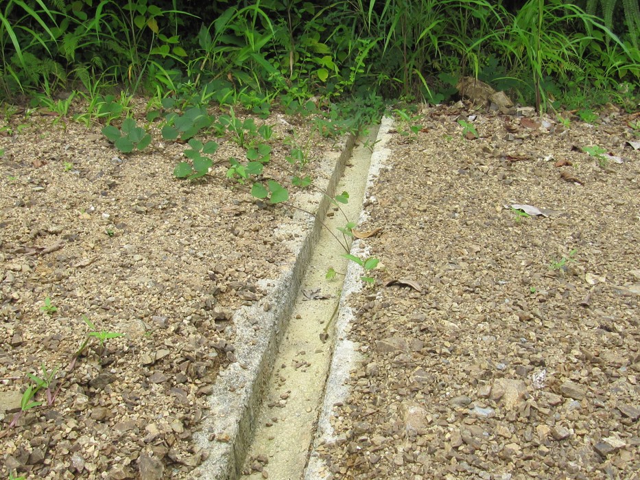 0 bed Land For Sale in Uvita, Puntarenas - thumb 16