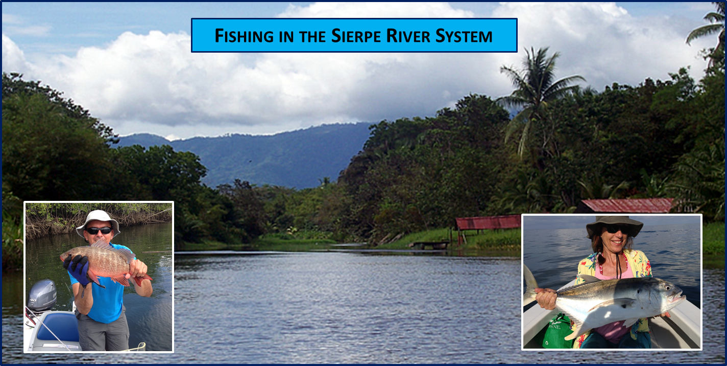 2 bed Single Family Homes For Sale in Sierpe, Puntarenas - thumb 17