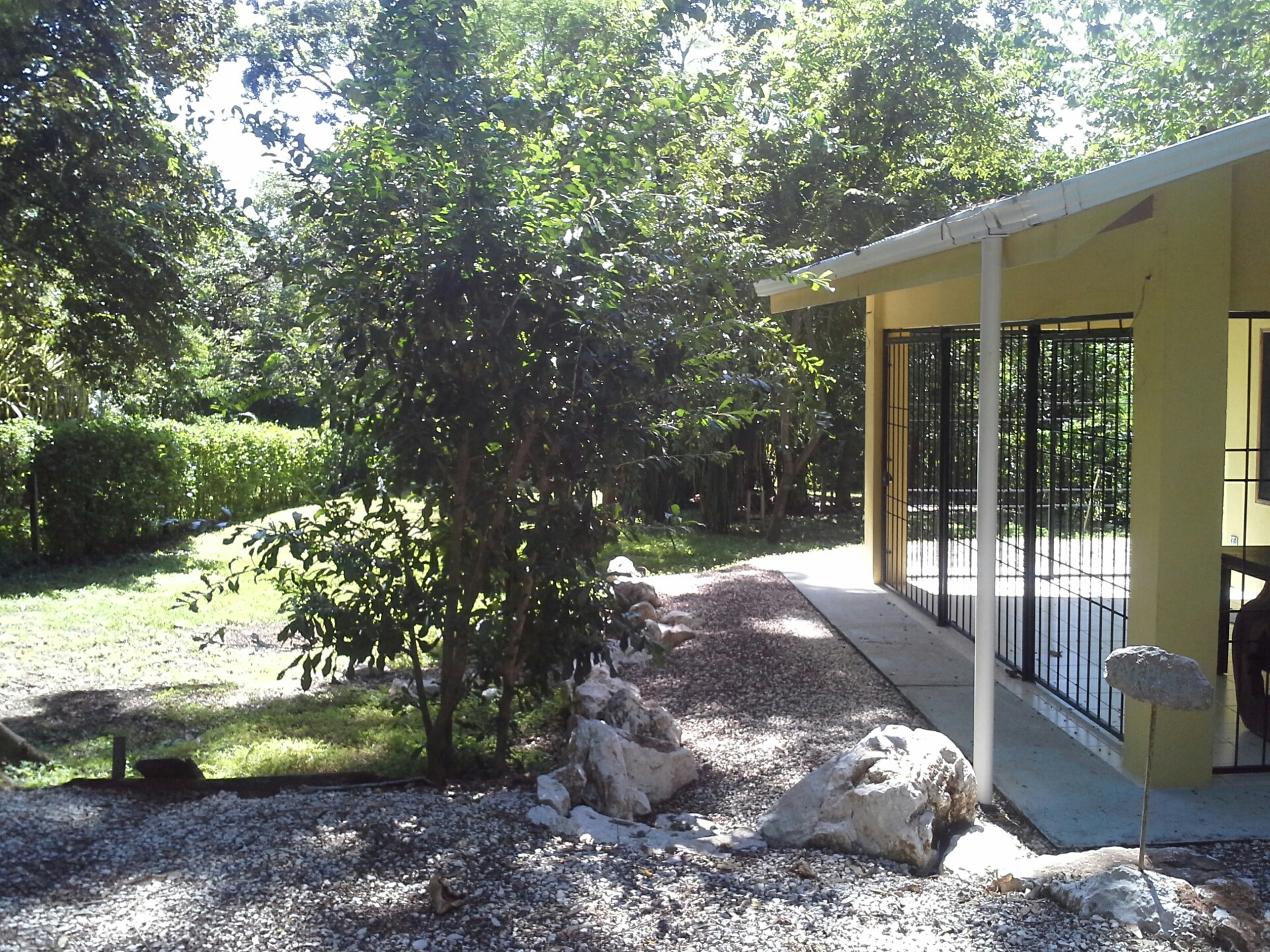 1 bed Single Family Homes For Sale in Samara, Guanacaste - thumb 2
