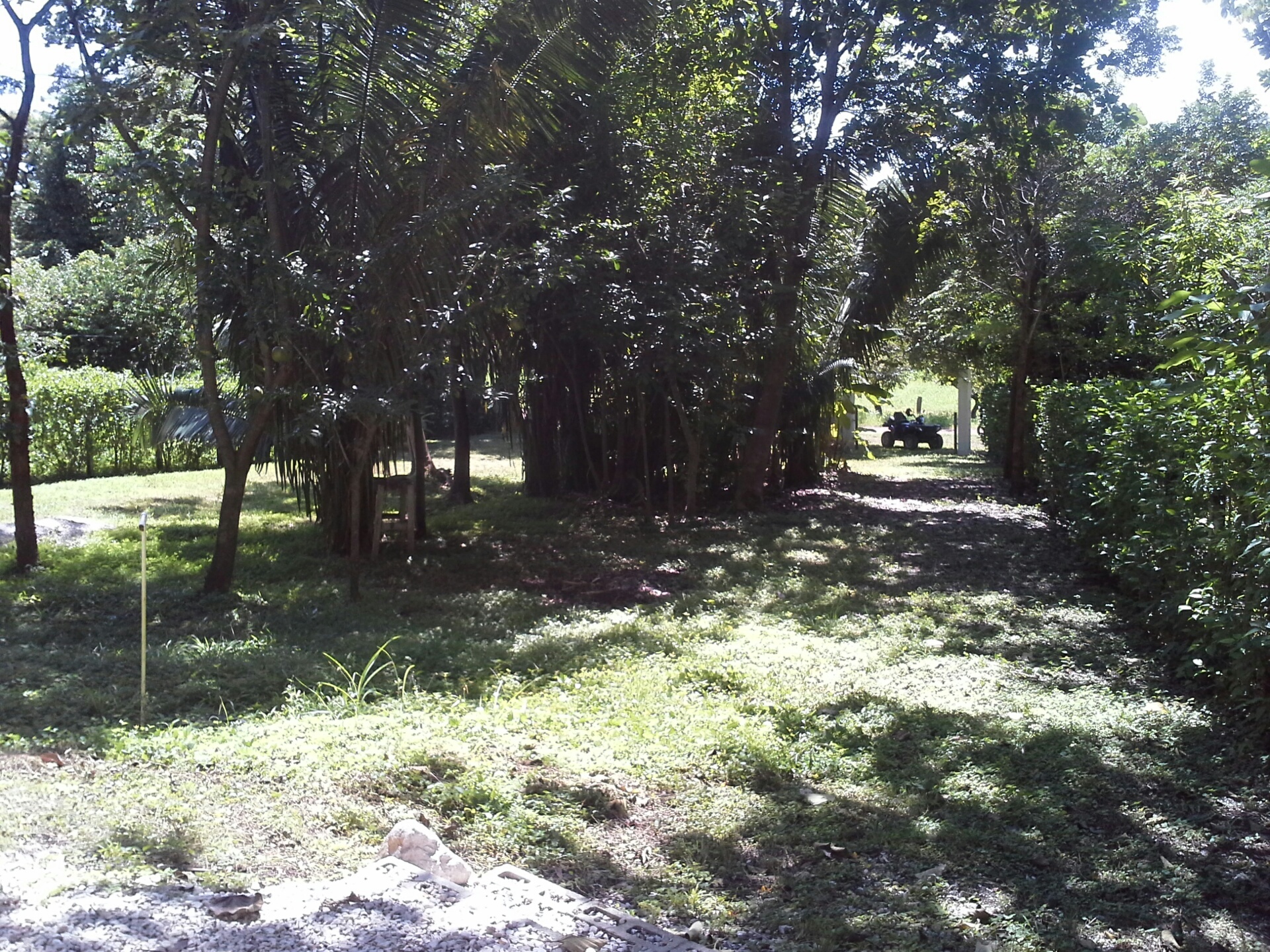 1 bed Single Family Homes For Sale in Samara, Guanacaste - thumb 10