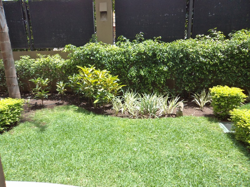 1 bed Apartment For Sale in Santa Ana, San Jose - thumb 16