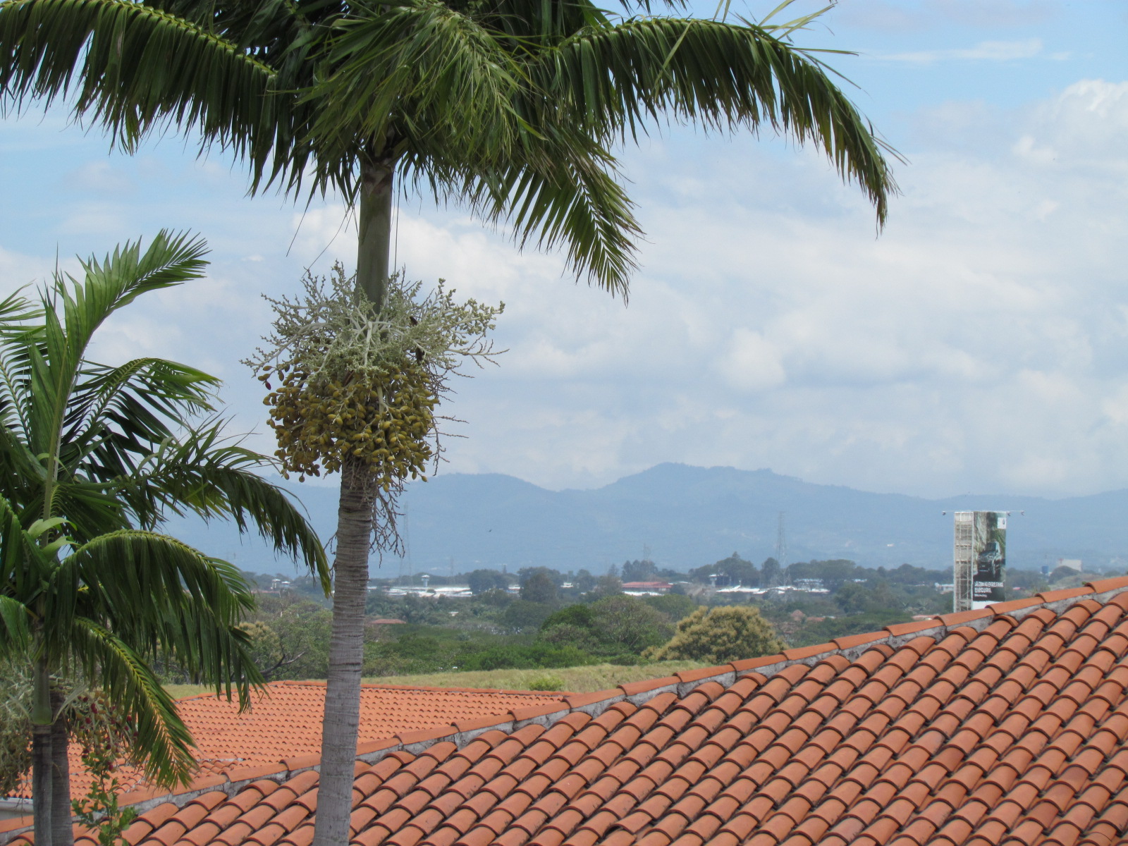 4 bed Single Family Homes For Rent in Santa Ana, San Jose - thumb 17