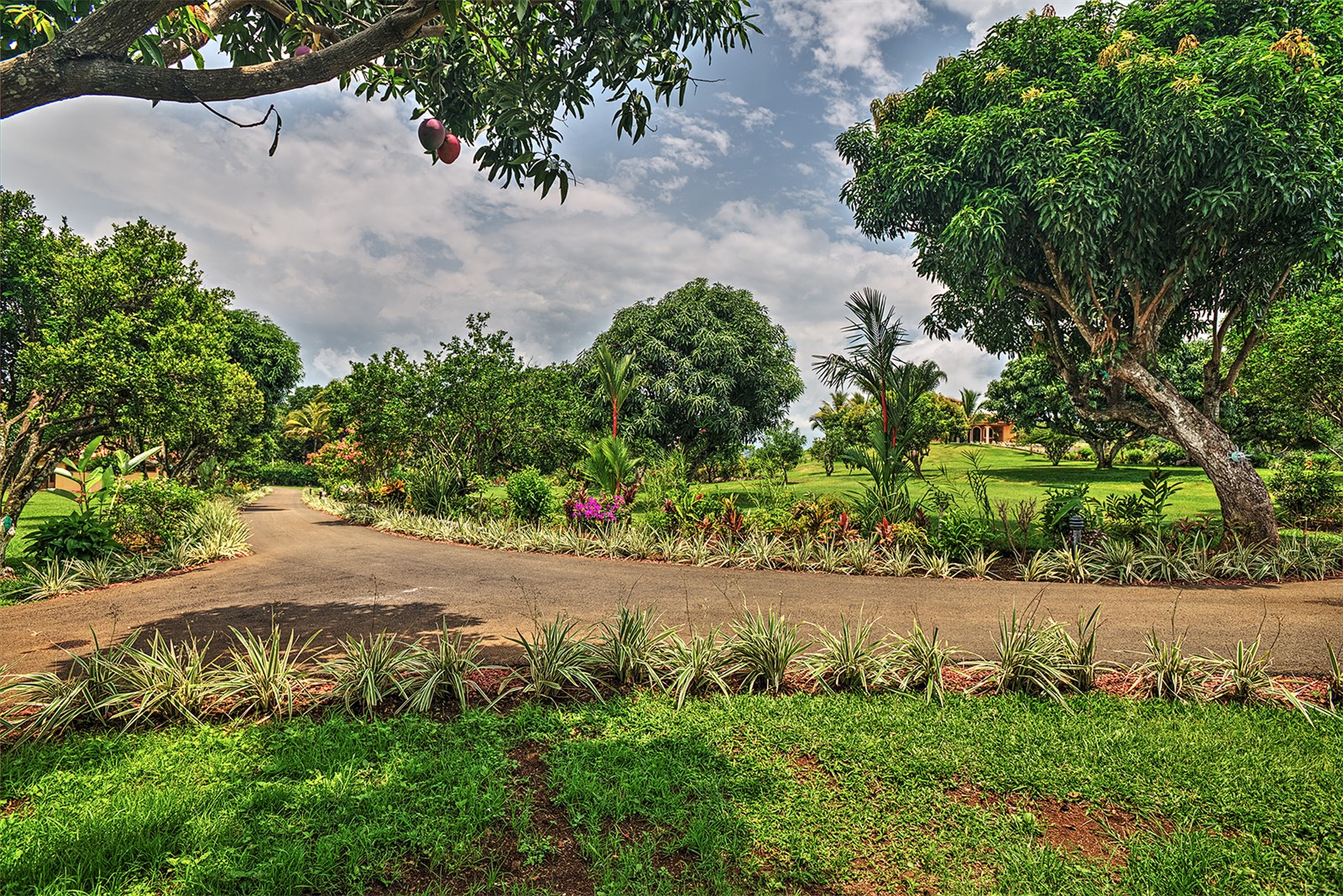 5 bed Single Family Homes For Sale in Atenas, Alajuela - thumb 20
