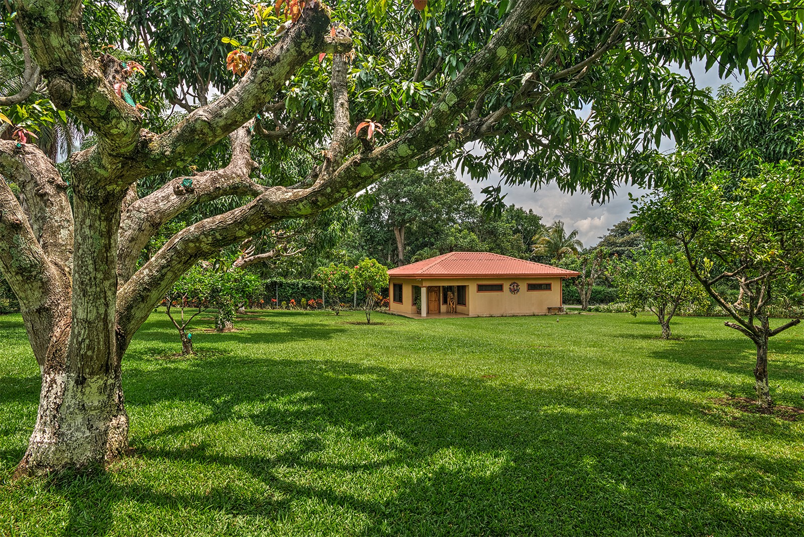 5 bed Single Family Homes For Sale in Atenas, Alajuela - thumb 21