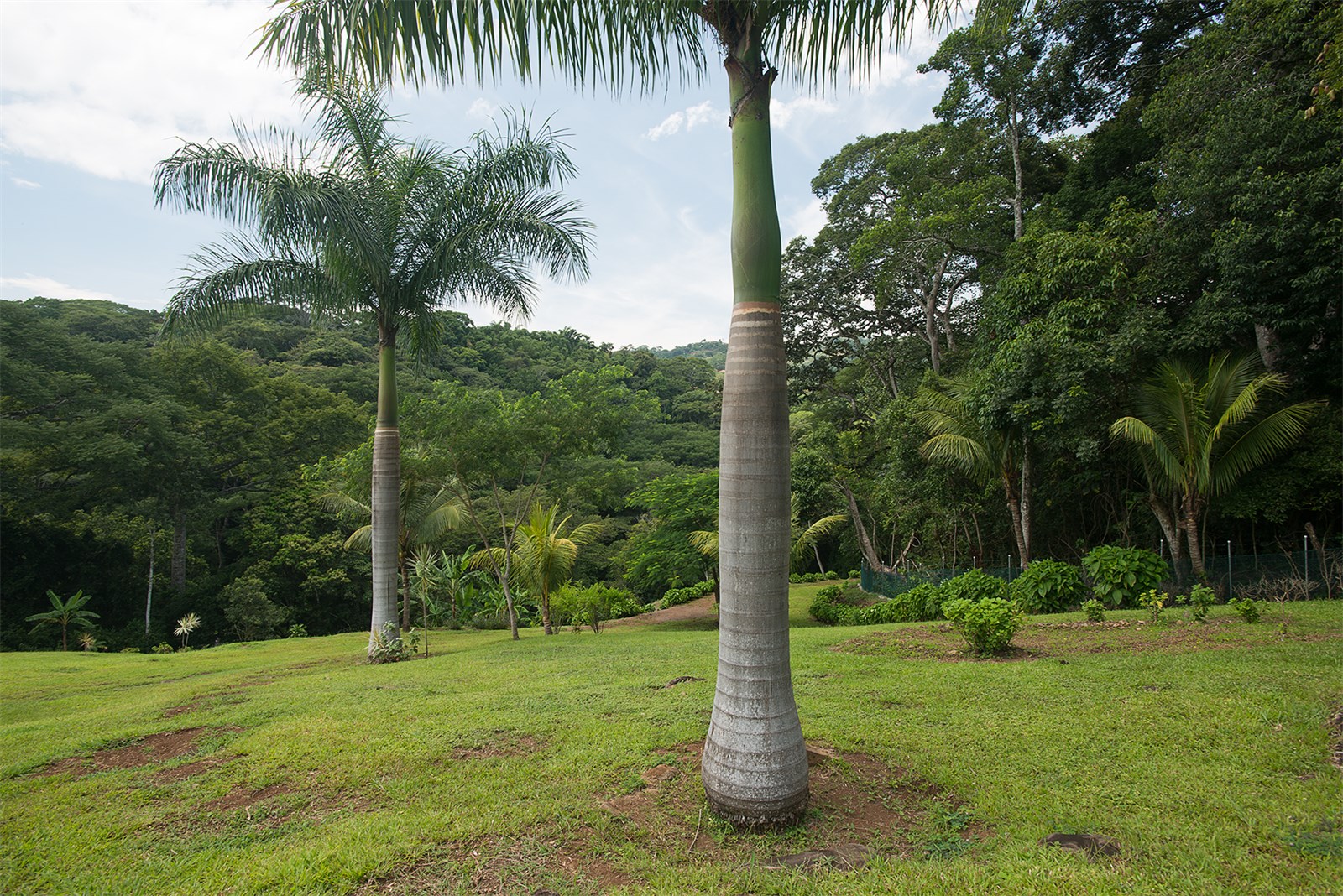 5 bed Single Family Homes For Sale in Atenas, Alajuela - thumb 27