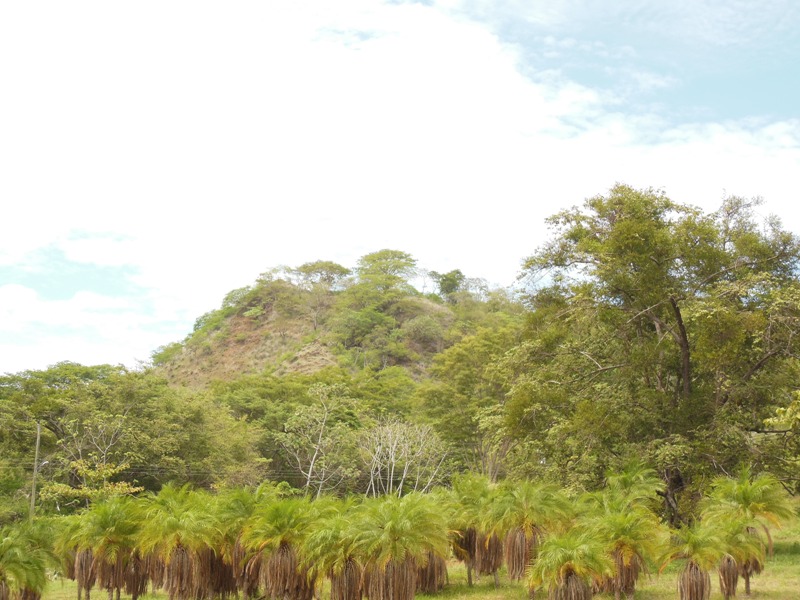 0 bed Land For Sale in Playas Del Coco, Guanacaste - thumb 14