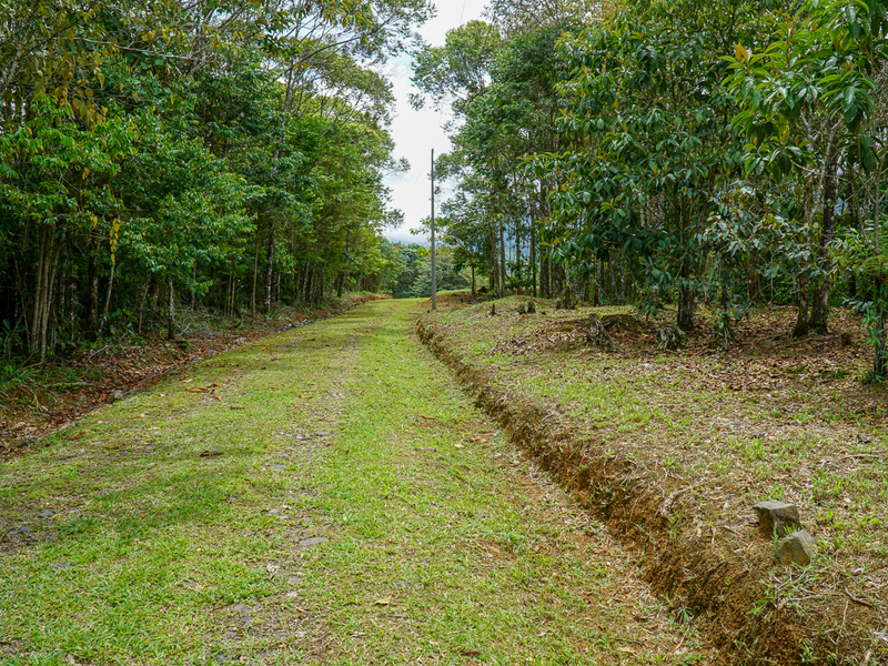 0 bed Communities For Sale in Perez Zeledon, Puntarenas - photo 21