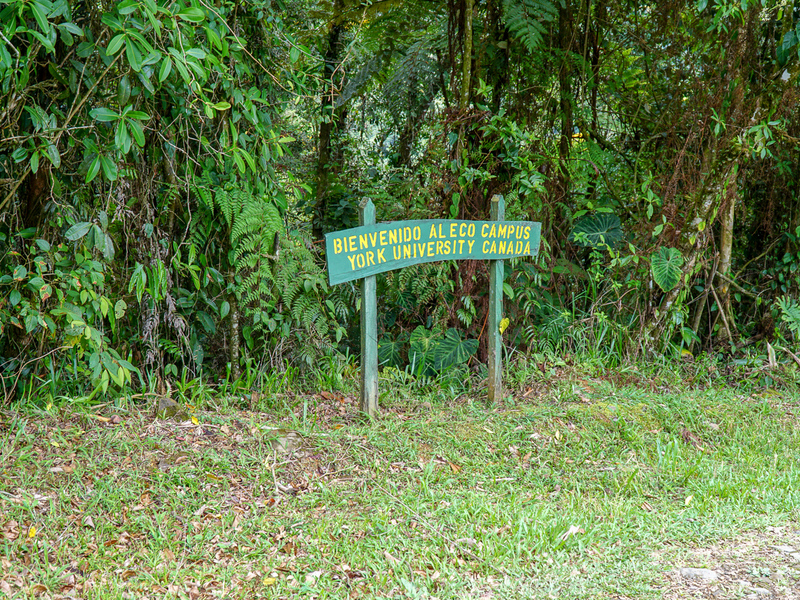 0 bed Communities For Sale in Perez Zeledon, Puntarenas - photo 22