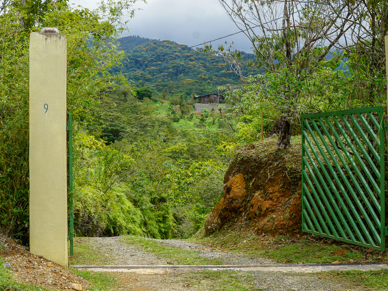 0 bed Communities For Sale in Perez Zeledon, Puntarenas - photo 13