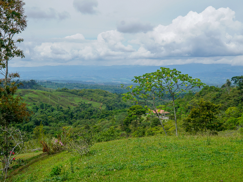 0 bed Communities For Sale in Perez Zeledon, Puntarenas - photo 12