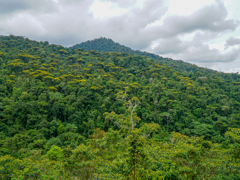 0 bed Communities For Sale in Perez Zeledon, Puntarenas - photo 28