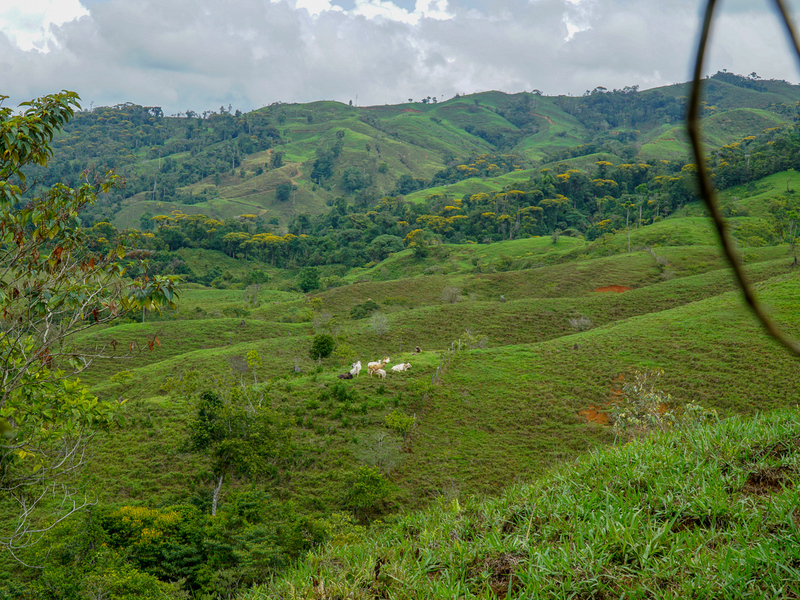 0 bed Communities For Sale in Perez Zeledon, Puntarenas - photo 16