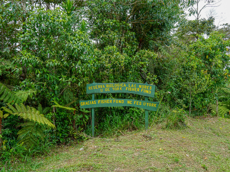 0 bed Communities For Sale in Perez Zeledon, Puntarenas - photo 27