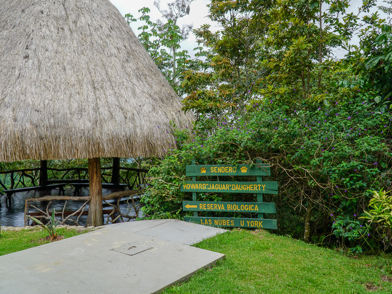 0 bed Communities For Sale in Perez Zeledon, Puntarenas - photo 26