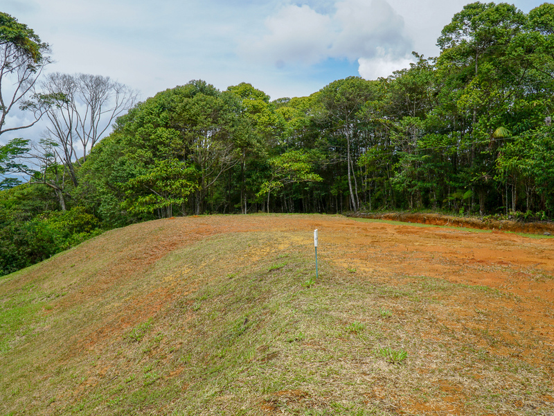 0 bed Communities For Sale in Perez Zeledon, Puntarenas - photo 17