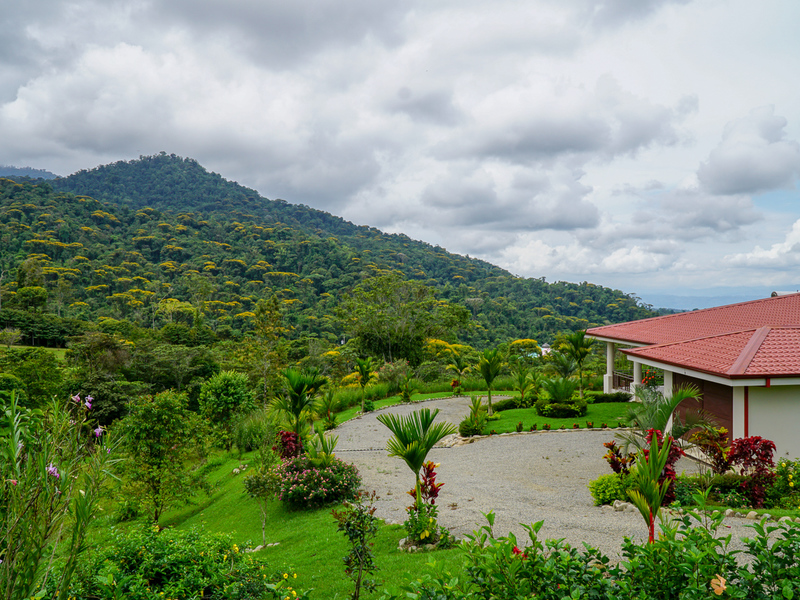 0 bed Communities For Sale in Perez Zeledon, Puntarenas - photo 19