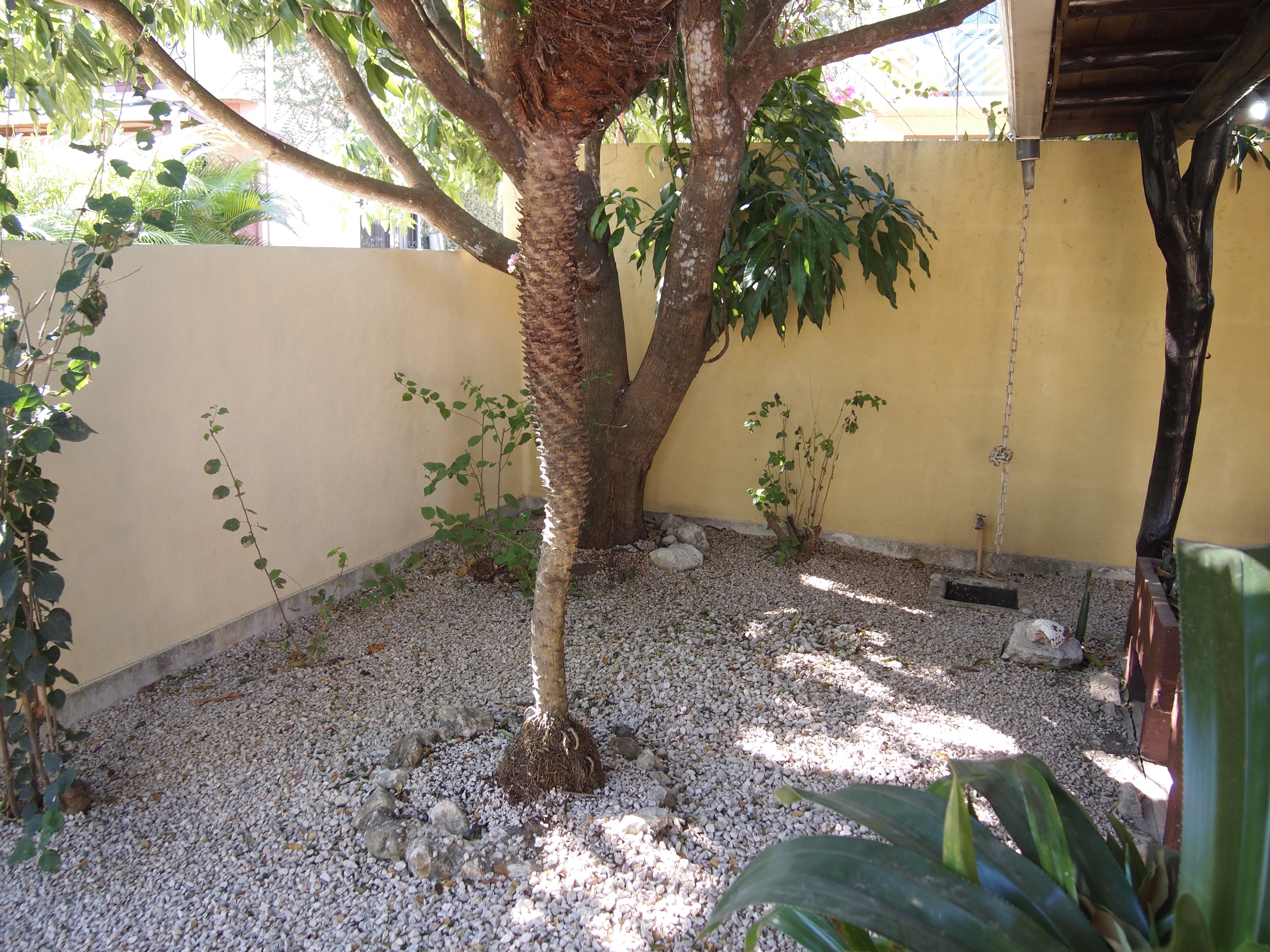 3 bed Single Family Homes For Sale in Samara, Guanacaste - thumb 17