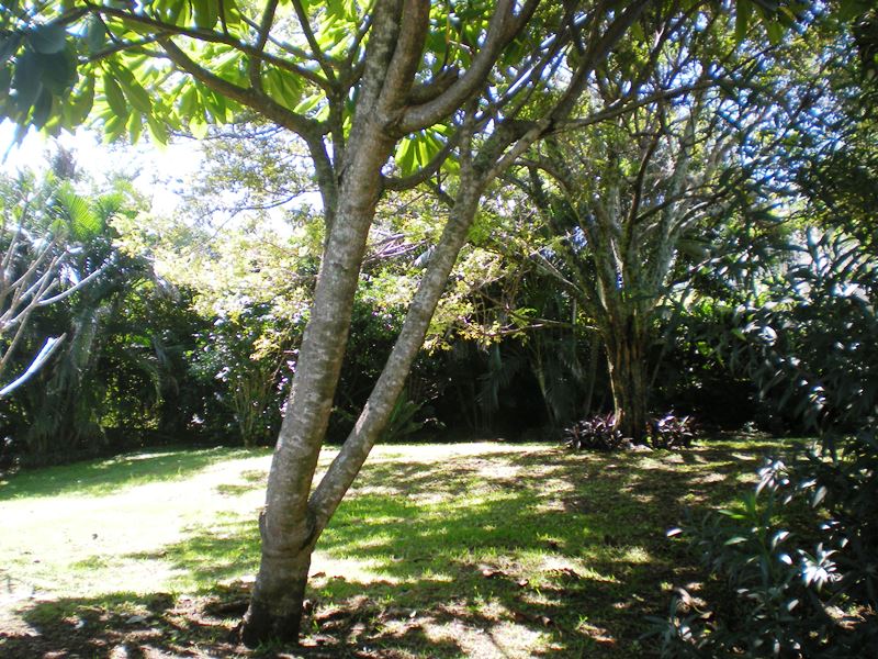 3 bed Single Family Homes For Sale in Escazu, San Jose - thumb 17
