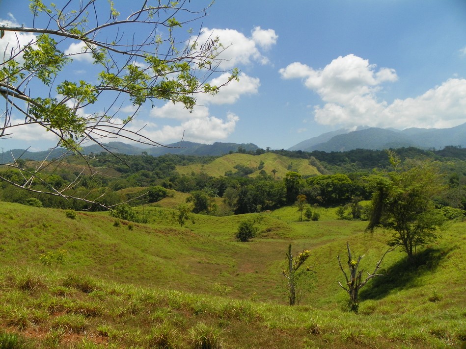 0 bed Land For Sale in Quepos, Puntarenas - thumb 1