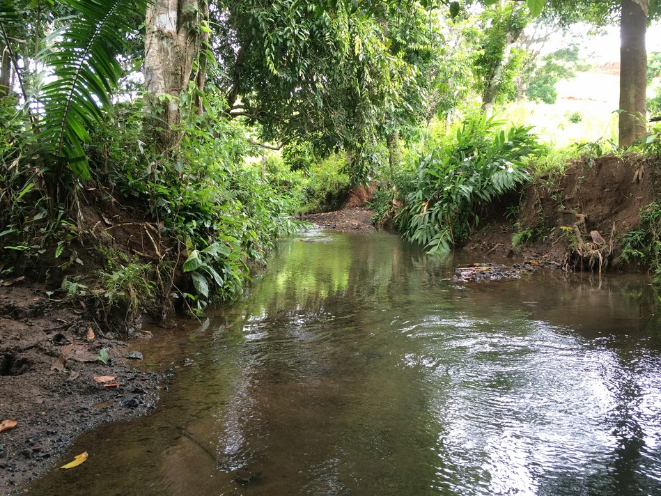 0 bed Land For Sale in Quepos, Puntarenas - thumb 9