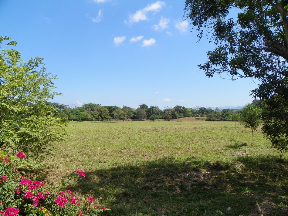 0 bed Land For Sale in Quepos, Puntarenas - thumb 11
