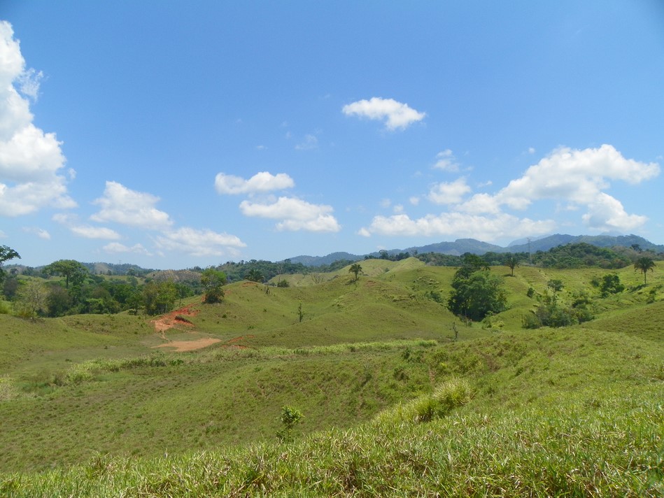 0 bed Land For Sale in Quepos, Puntarenas - thumb 8