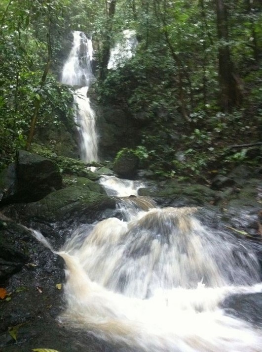 0 bed Land For Sale in Quepos, Puntarenas - thumb 5