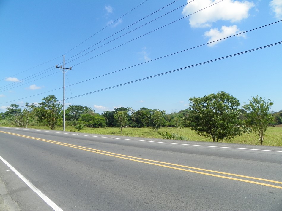 0 bed Land For Sale in Quepos, Puntarenas - thumb 4