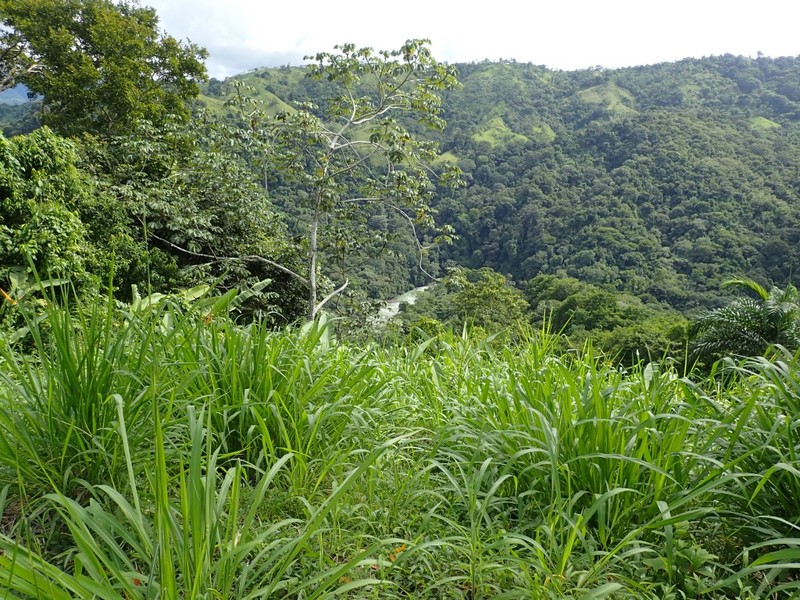 0 bed Land For Sale in Dominical, Puntarenas - 1