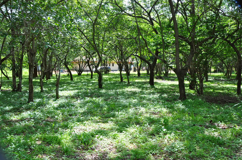 0 bed Land For Sale in Playa Negra, Guanacaste - thumb 5