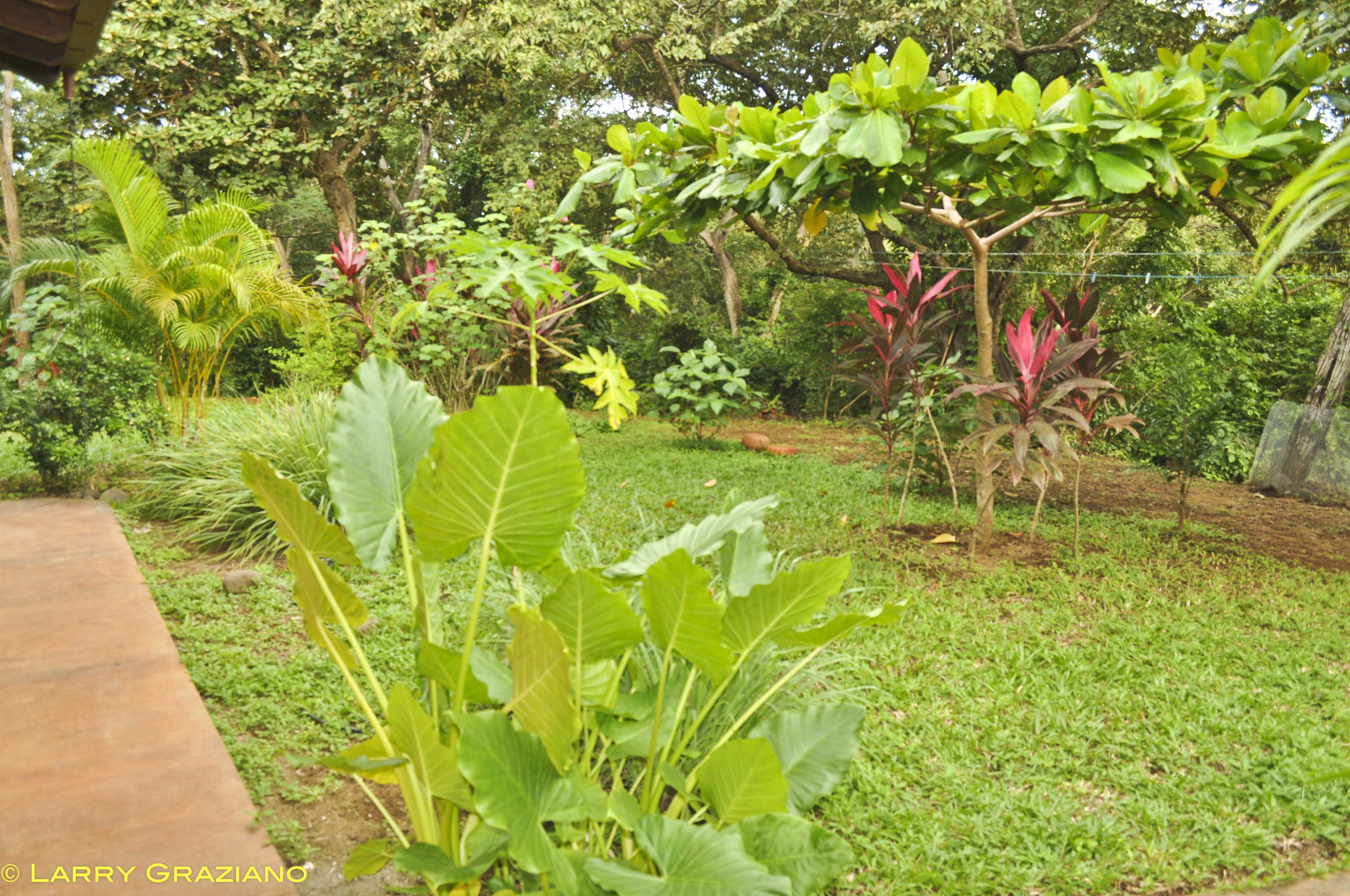 3 bed Single Family Homes For Sale in Junquillal, Guanacaste - thumb 21