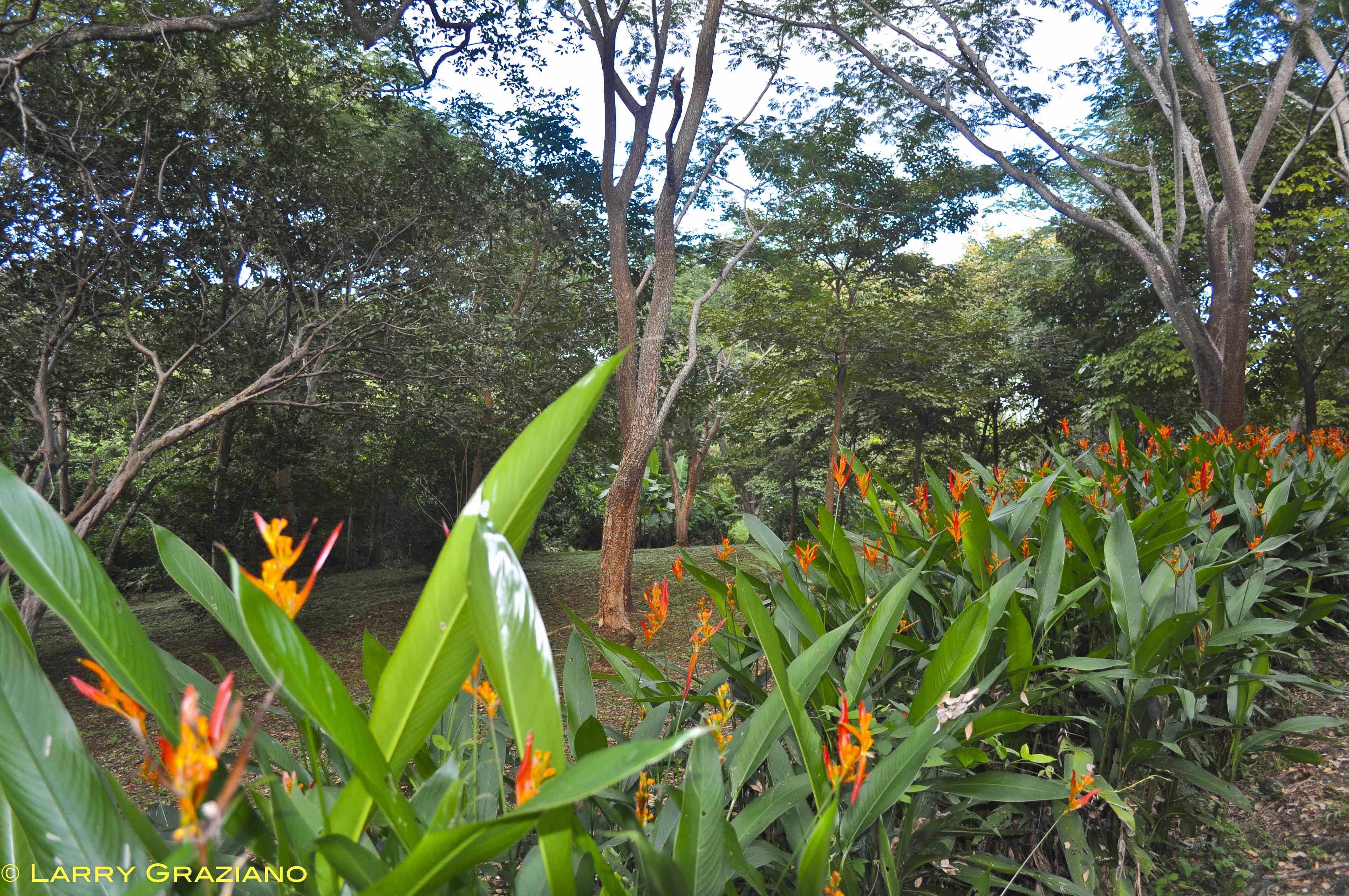 3 bed Single Family Homes For Sale in Junquillal, Guanacaste - thumb 19