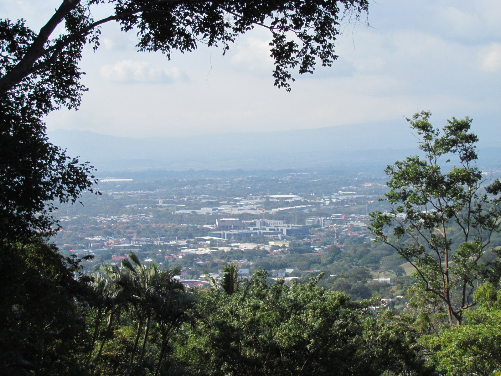 12 bed Single Family Homes For Sale in Santa Ana, San Jose - thumb 2