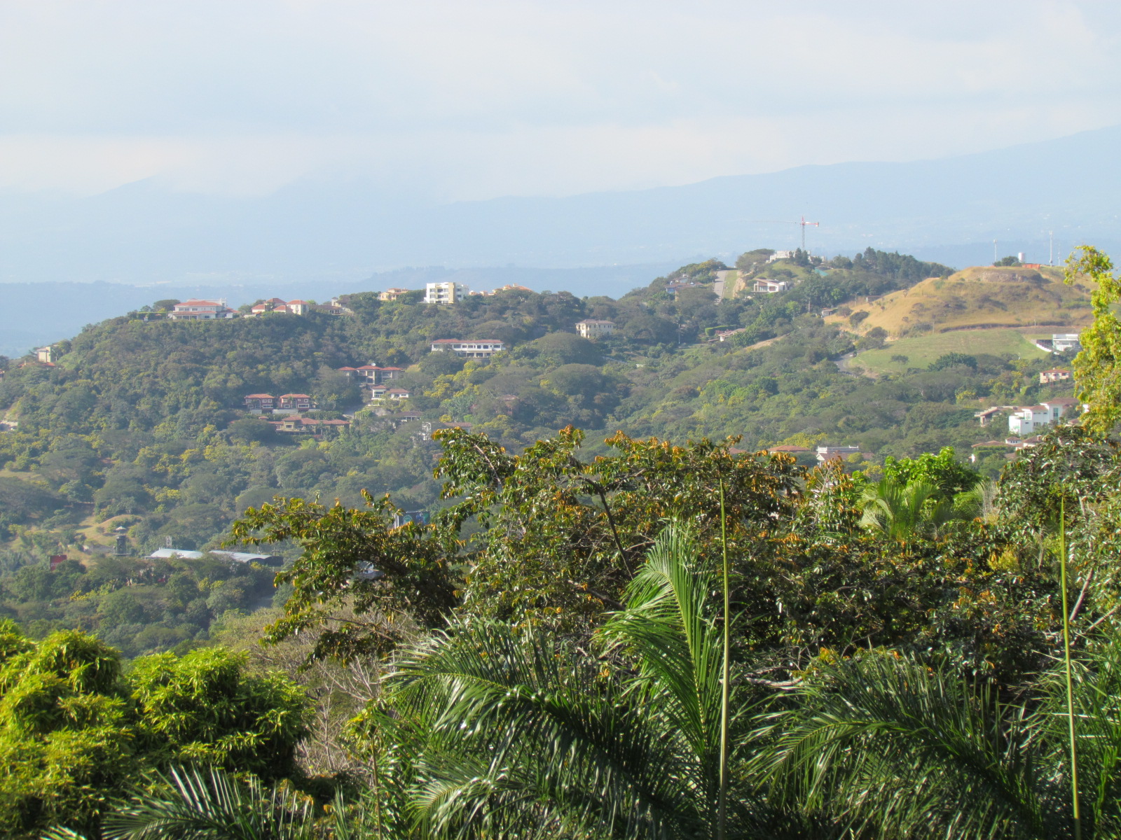 12 bed Single Family Homes For Sale in Santa Ana, San Jose - thumb 3