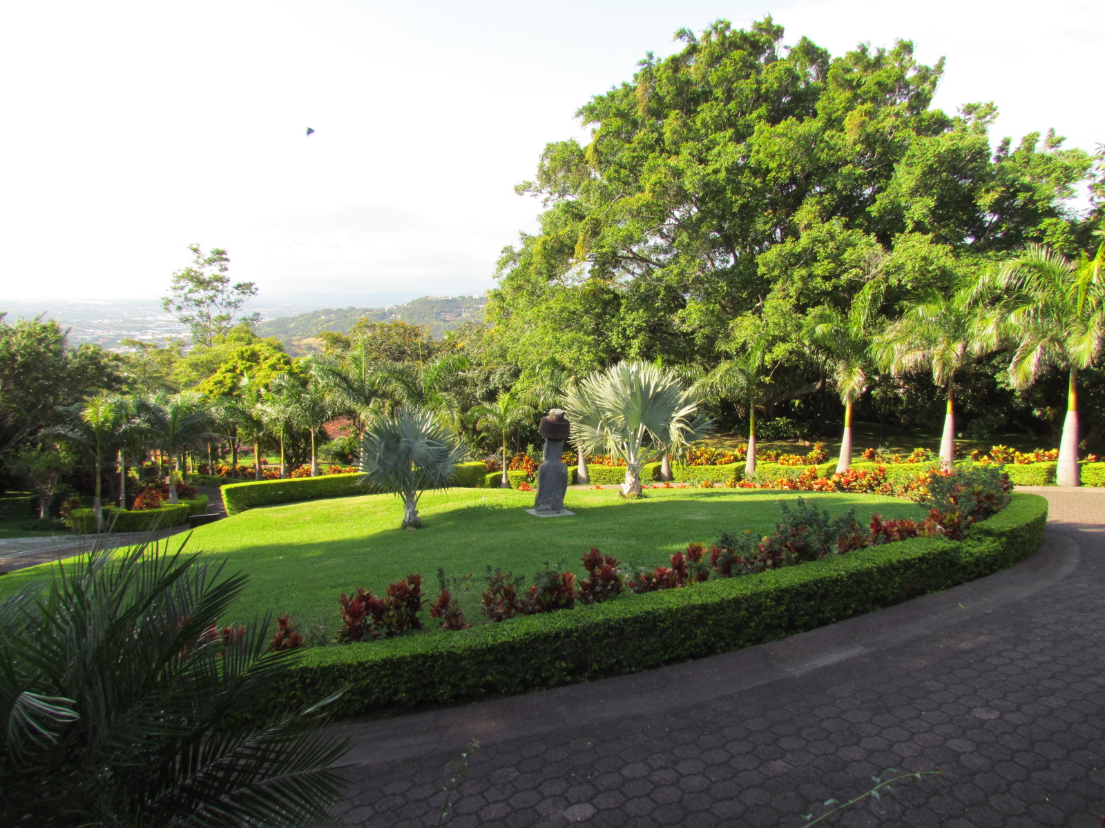 12 bed Single Family Homes For Sale in Santa Ana, San Jose - thumb 5