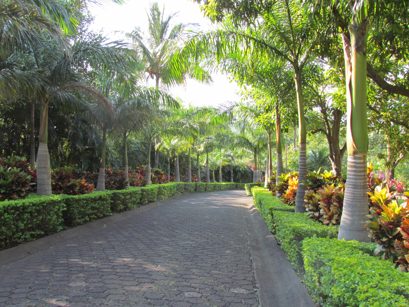 12 bed Single Family Homes For Sale in Santa Ana, San Jose - thumb 15