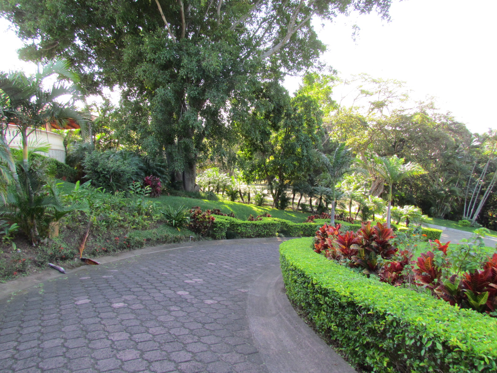 12 bed Hotel / Leisure For Sale in Santa Ana, San Jose - thumb 17