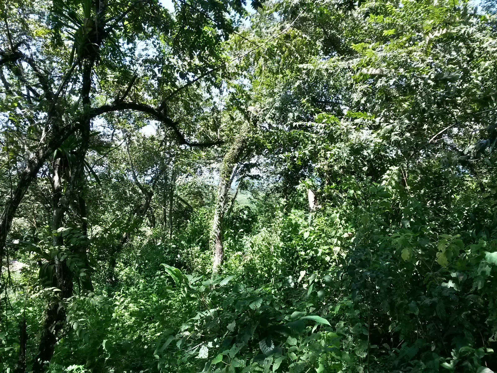 0 bed Land For Sale in Quepos, Puntarenas - thumb 4