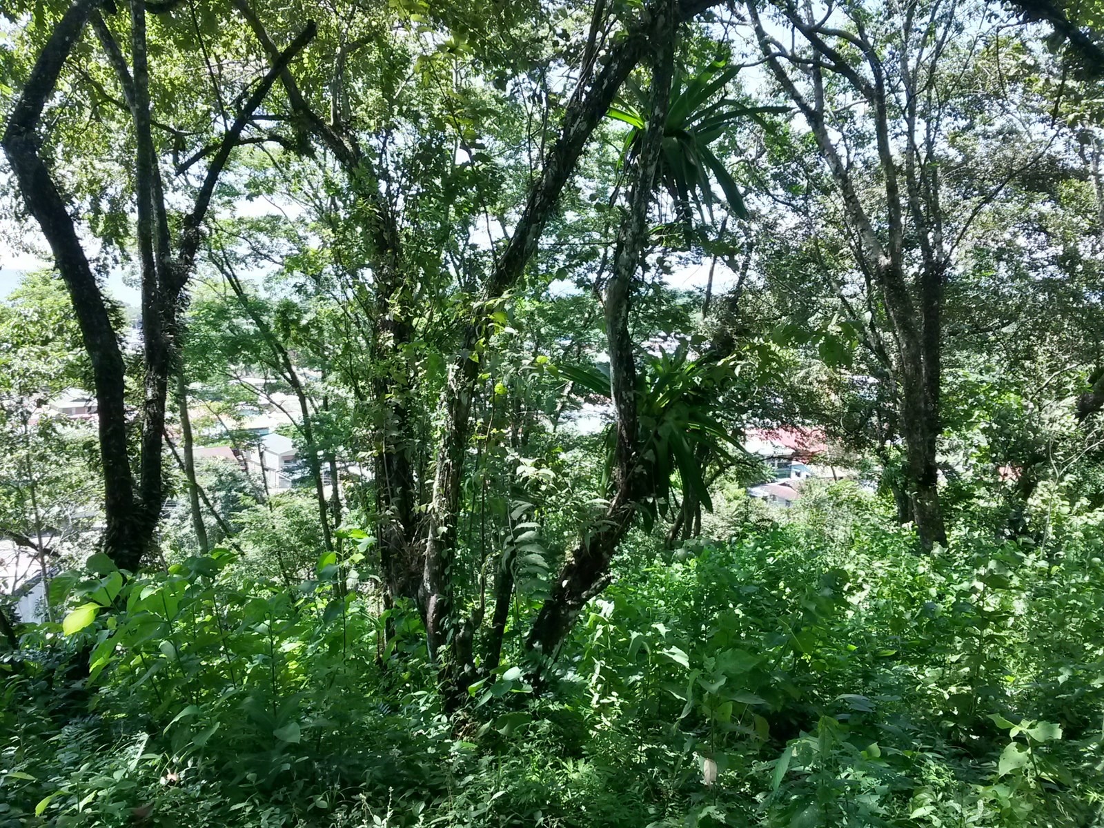 0 bed Land For Sale in Quepos, Puntarenas - thumb 14