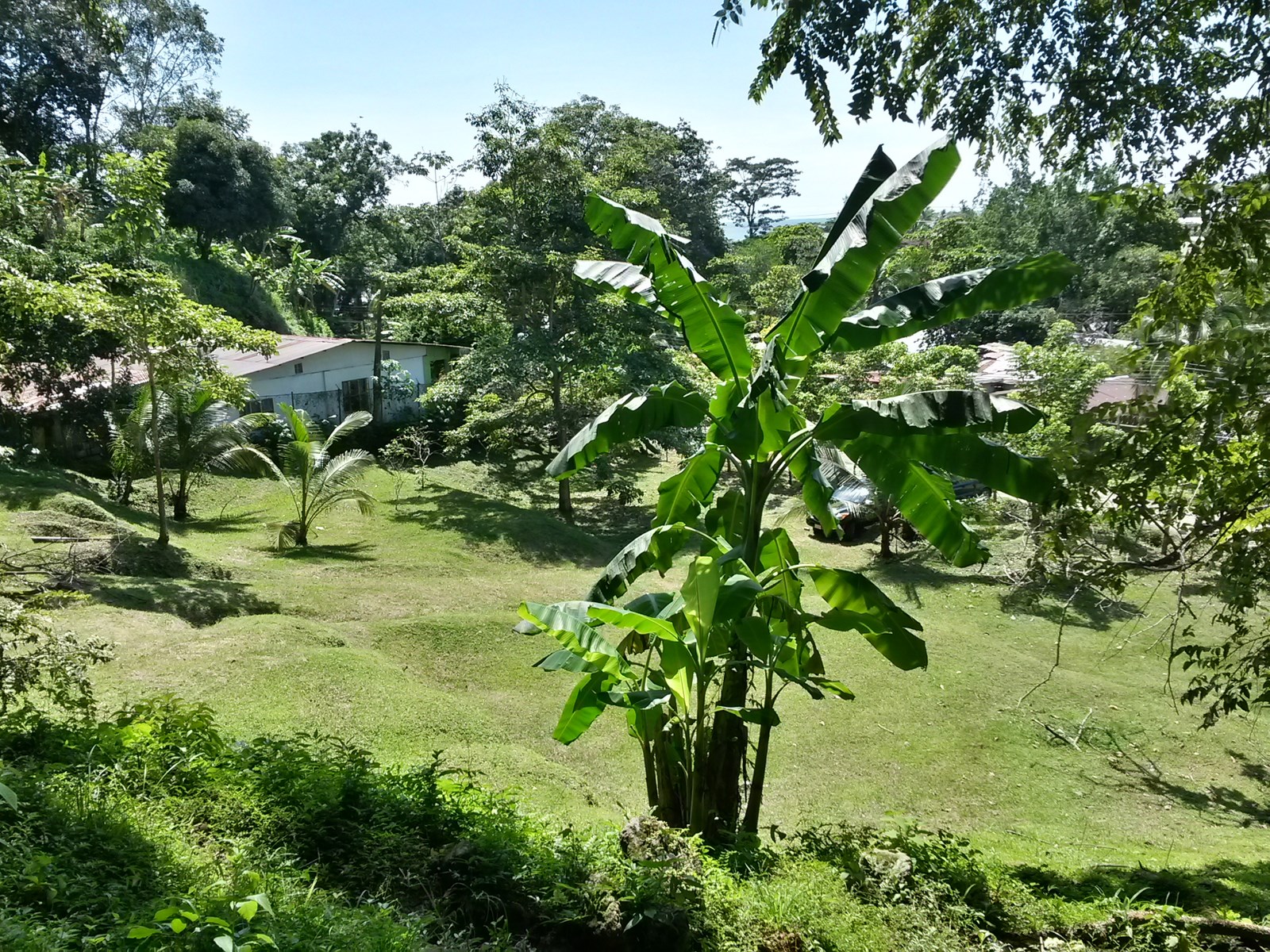 0 bed Land For Sale in Quepos, Puntarenas - thumb 8