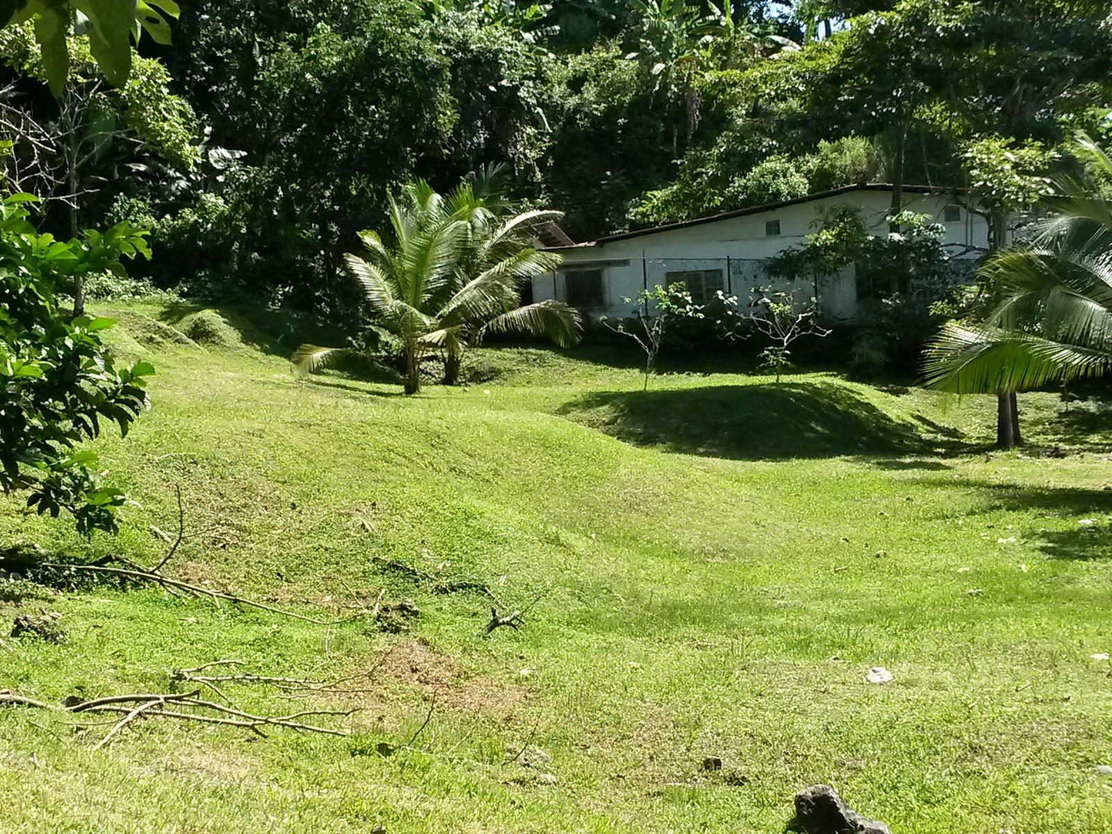 0 bed Land For Sale in Quepos, Puntarenas - thumb 2