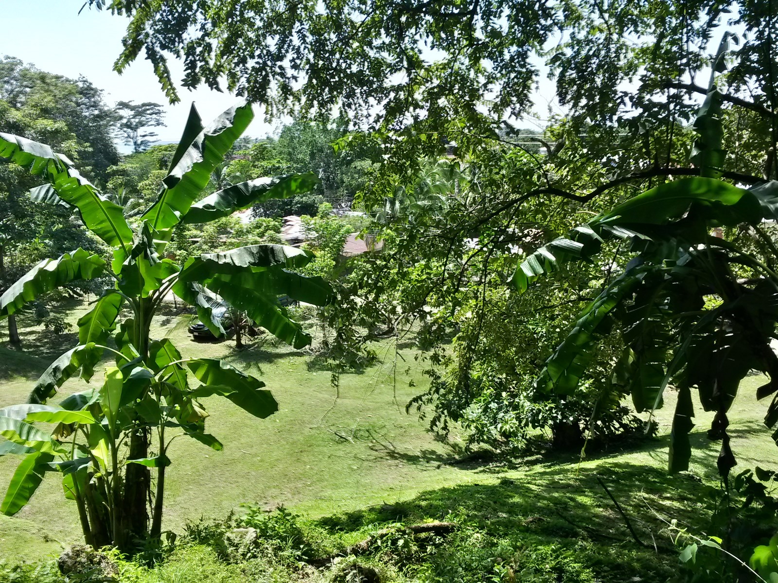 0 bed Land For Sale in Quepos, Puntarenas - thumb 6