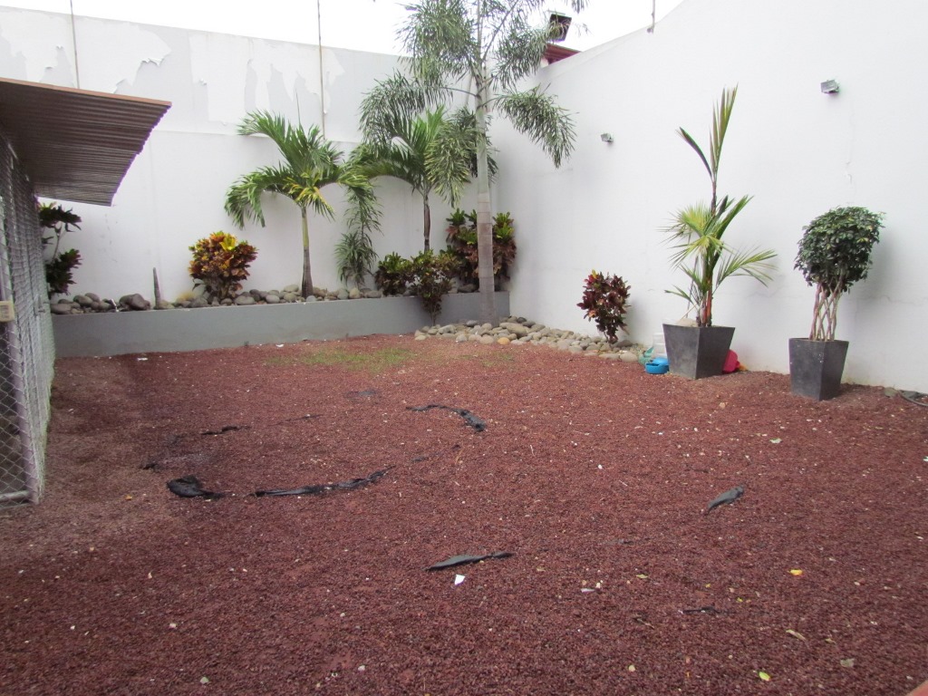 3 bed Condo For Sale in Bello Horizonte, San Jose - thumb 19