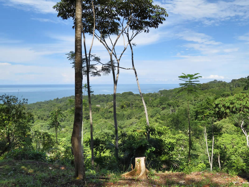 0 bed Land For Sale in Uvita, Puntarenas - 1