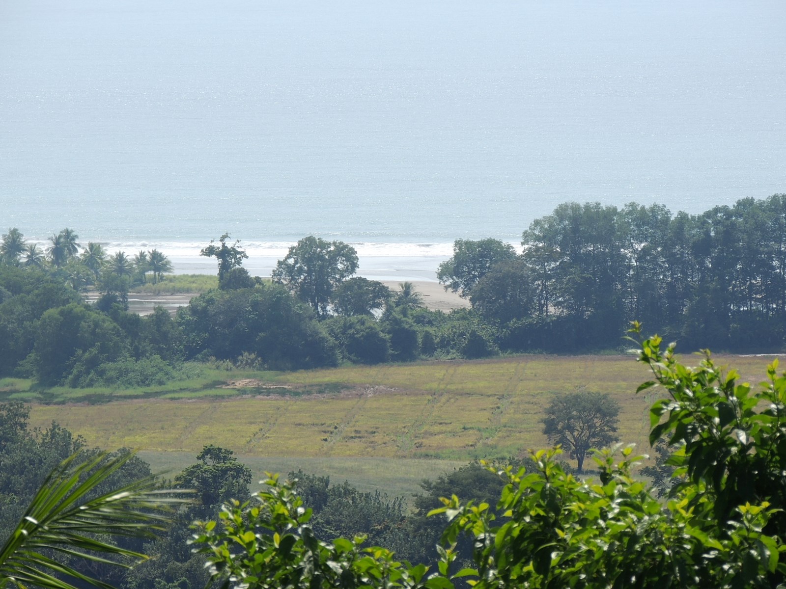 2 bed Single Family Homes For Sale in Dominical, Puntarenas - thumb 17