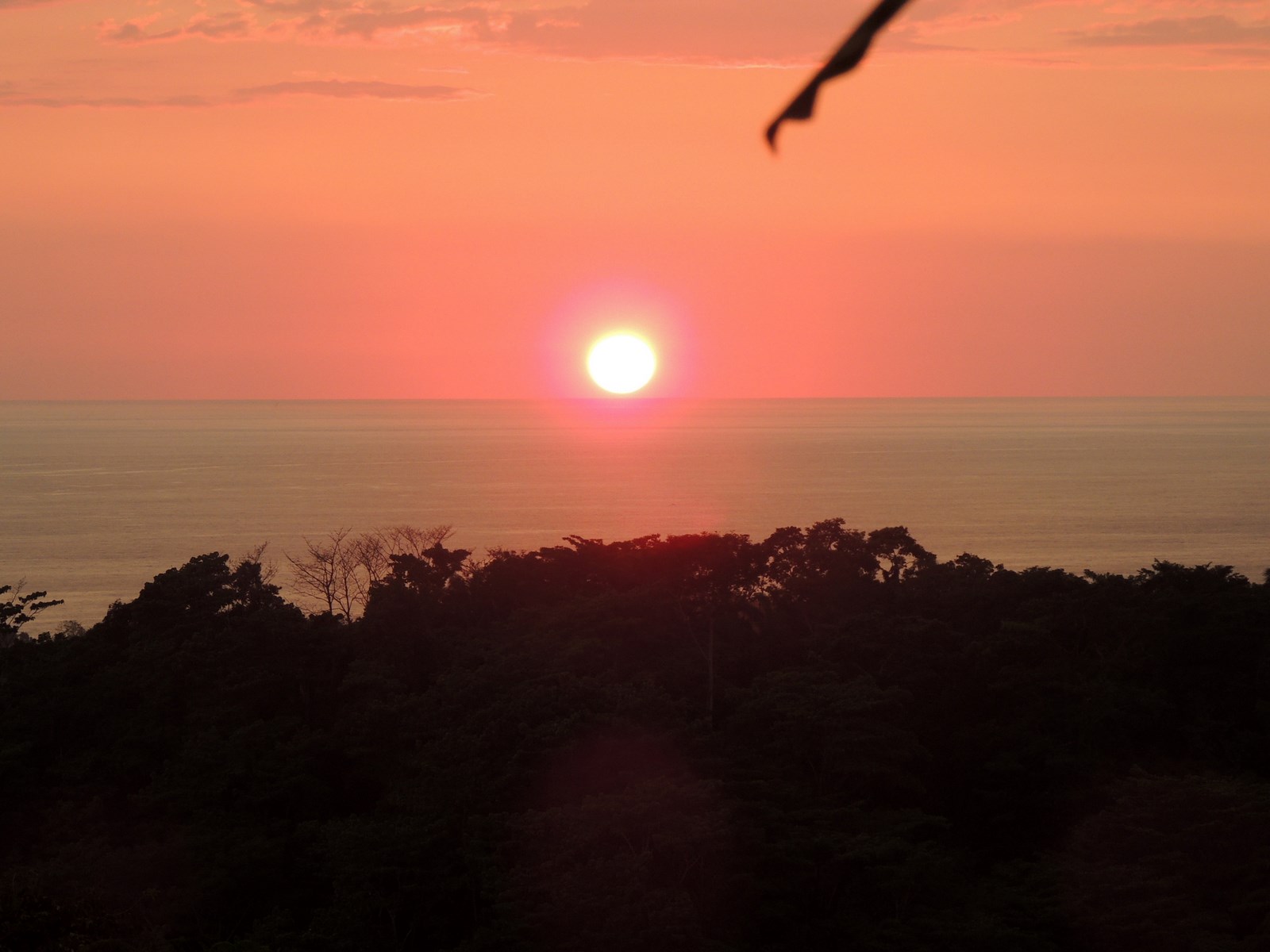 2 bed Single Family Homes For Sale in Dominical, Puntarenas - thumb 18