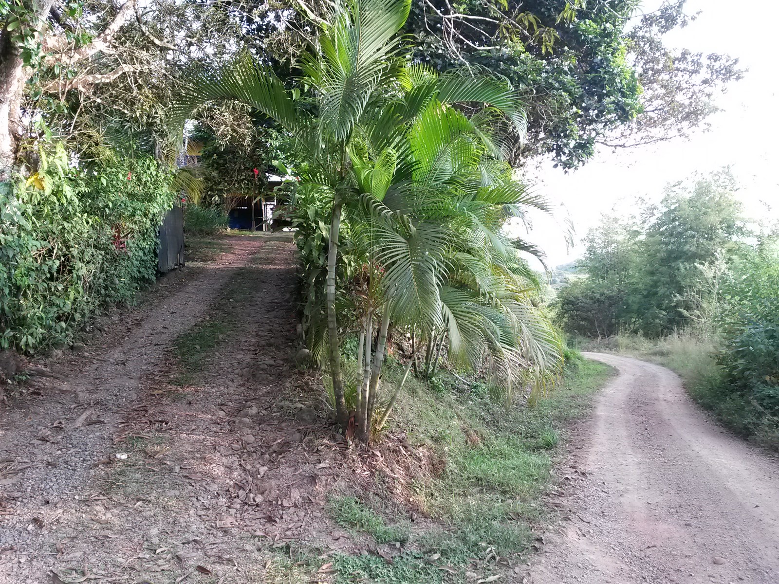 3 bed Single Family Homes For Sale in Matapalo, Puntarenas - thumb 16