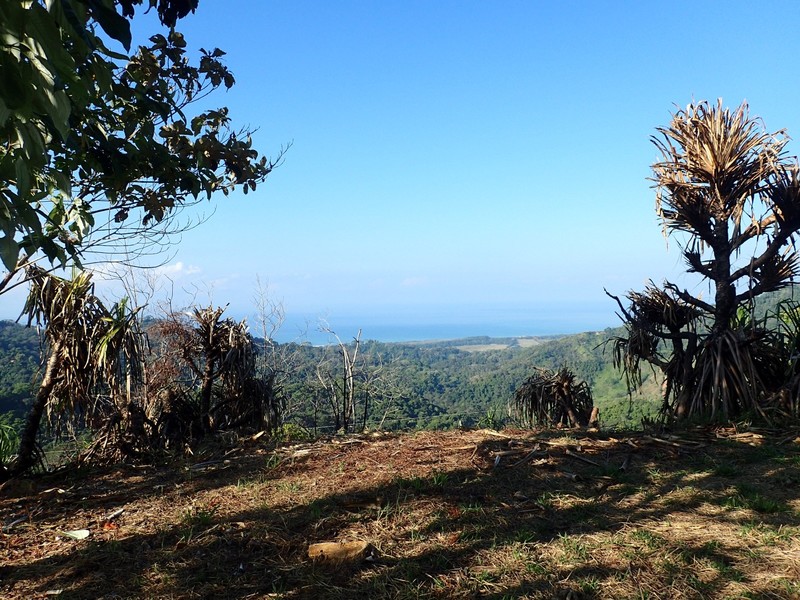 0 bed Land For Sale in Dominical, Puntarenas - 1