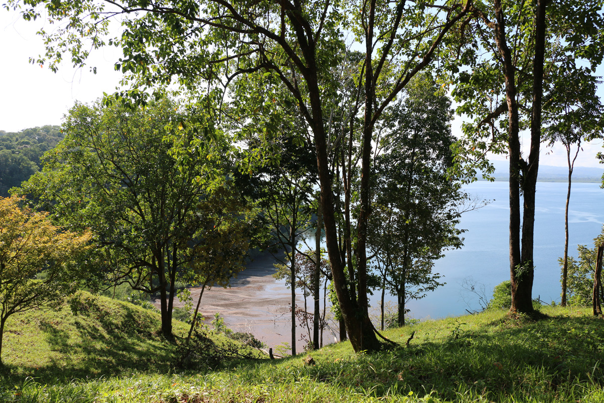 3 bed Land For Sale in Rincon, Puntarenas - thumb 4